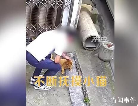 男子用小刀殘忍割斷看門貓尾巴 殘忍的手段被監(jiān)控拍下