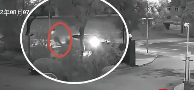 男子無(wú)證酒駕撞人拋尸 獲刑6年半