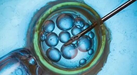 英國首批三親嬰兒誕生 嬰兒數量少于5名