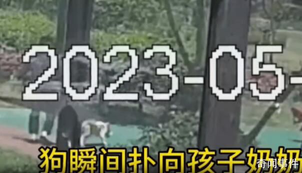 遛狗男子將6歲兒童打成腦震蕩被刑拘 被依法采取刑事強制措施