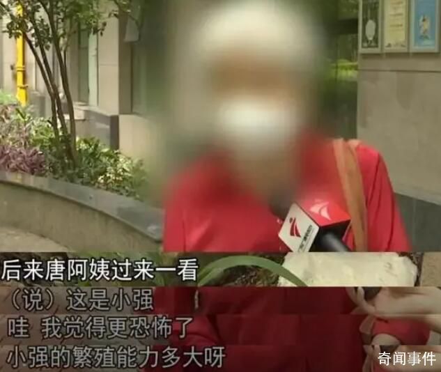 女子小區內放生五盒蟑螂被制止 目前整個小區已全面消殺三次