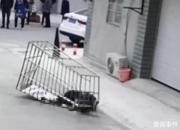 男子隨防盜網從六樓墜落身亡 系作業時未系安全繩