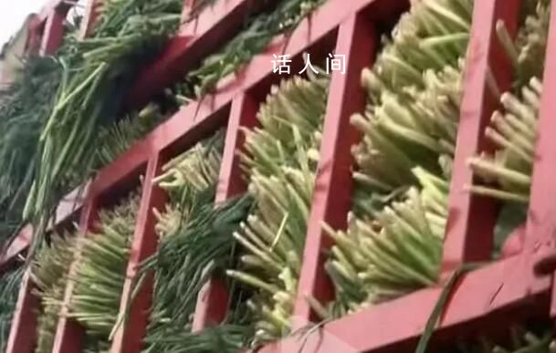 運輸無根小蔥被收費?司機回應