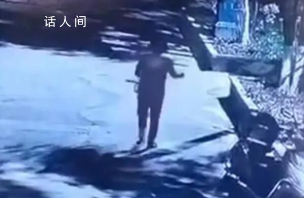 女子疑在小區內撒藥致多條狗死亡 引發了當地居民的擔憂和恐慌