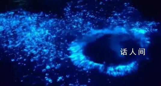浙江多地海邊現(xiàn)"藍(lán)眼淚"奇觀
