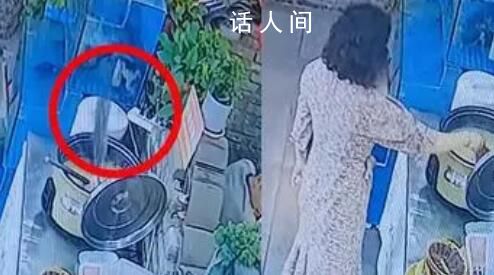 魚缸里的魚一躍跳進一鍋粥里 畫面被監控記錄下來