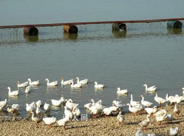 媒體三問(wèn)網(wǎng)紅浮橋墜車(chē)事故 掛牌督辦后整改是否到位