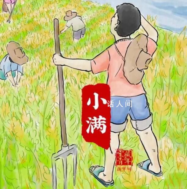 今年的小滿恰逢521 一股浪漫的氣息撲面而來