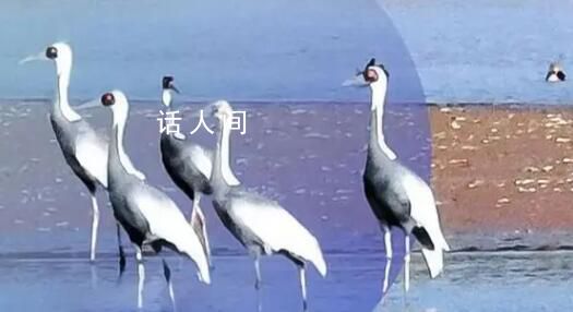 國際生物多樣性日 帶你看各地生物多樣性保護成果