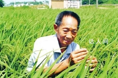 袁隆平逝世兩周年 一稻濟世萬家糧足