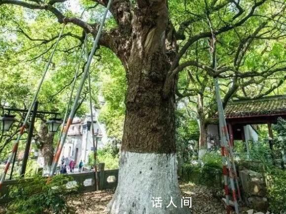 外婆給慈善組織捐了1000萬(wàn) 匿名捐贈(zèng)深藏功與名只愿物盡其用