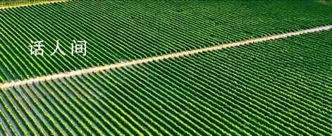 一路奔赴 百縣同行