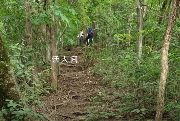 驢友爬山遭雷擊:直挺倒下全身麻木