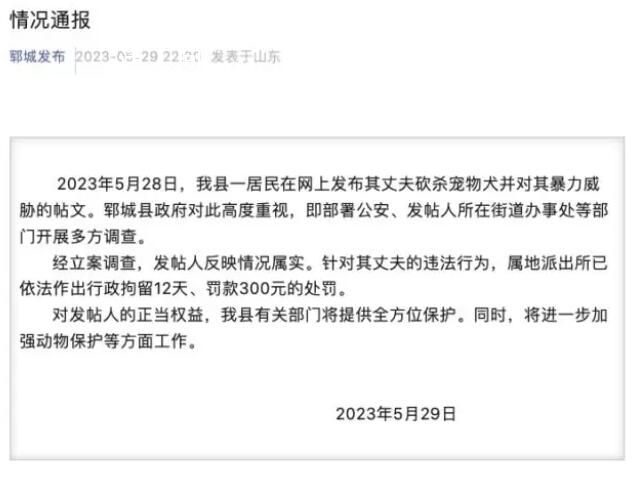 山東鄆城通報柯基被砍事件 將進一步加強動物保護等方面工作