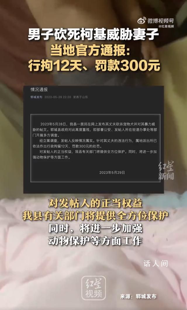 柯基被砍女子稱已申請(qǐng)安全保護(hù)令 對(duì)方說坐牢也不愿離婚想買個(gè)狗補(bǔ)償