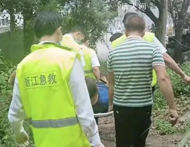 溫州4起摘楊梅墜樹警情 2人心跳停止