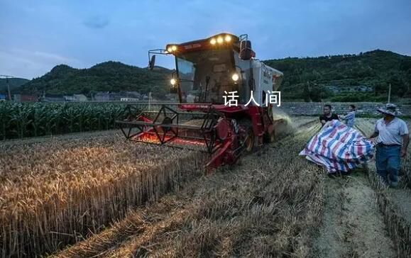 河南小麥收割超2成 周末將有雨