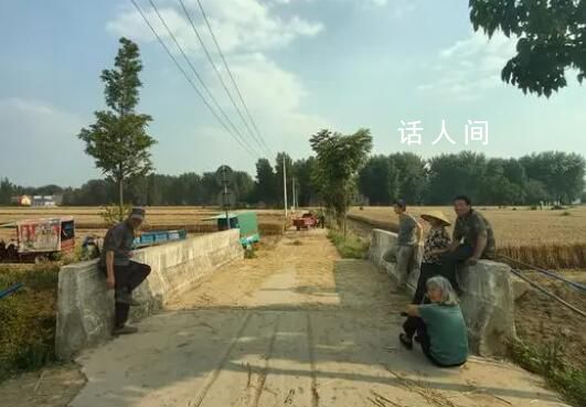 安徽村民攔下赴河南收割機就地作業 三地同時收割機器忙不過來