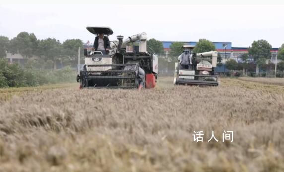 女子11萬買收割機幫爸媽收麥子 謊稱三四萬買的