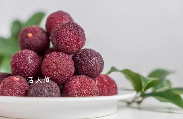 潮汕人吃楊梅真是腦洞大開 從楊梅炒飯到楊梅糖水