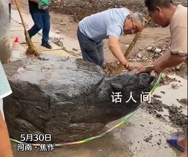 村莊修路挖出大石龜?官方通報