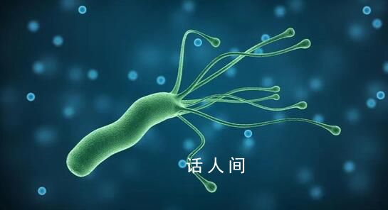 國內幽門螺桿菌人群感染率近50% 如何預防幽門螺桿菌感染?