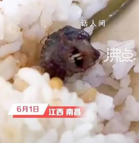 高校飯菜吃出老鼠頭?市監(jiān)局:鴨脖