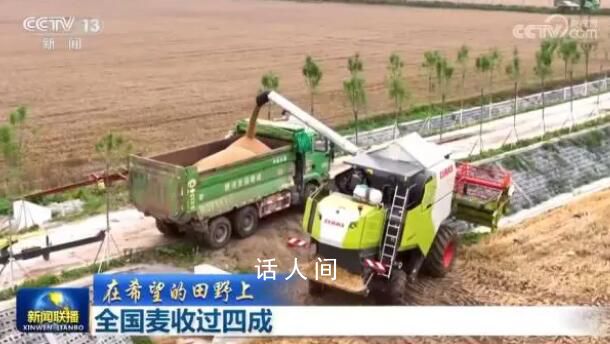 全國(guó)麥?zhǔn)者^(guò)四成 農(nóng)民朋友們的努力正在有效地得到回報(bào)