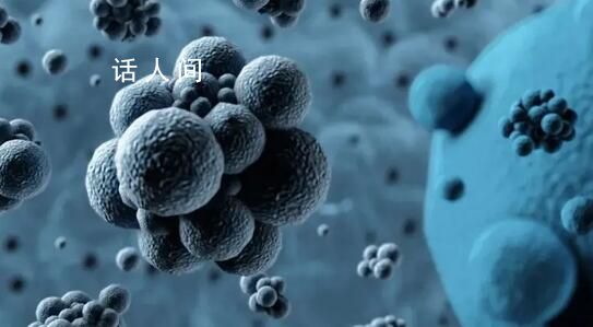 北京發現兩例猴痘病例 兩名病例均是通過親密接觸感染