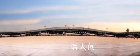 浙大學霸應聘機場驅鳥員 引熱議