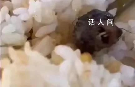 學生:鼠頭鴨脖涉事窗口仍營業