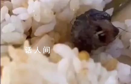 專家談鴨脖爭議:大概率是老鼠頭