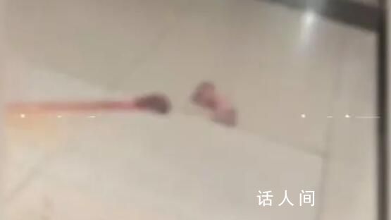 醫(yī)院回應(yīng)新生兒被遺留大廳 嬰兒已送保溫箱