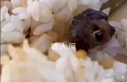 江西就鴨脖事件成立聯合調查組 持續引發關注