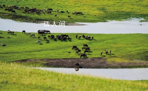 祖國北疆的綠色答卷 生態(tài)服務(wù)功能持續(xù)提升