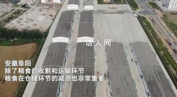 從農田到餐桌 節糧減損進行時