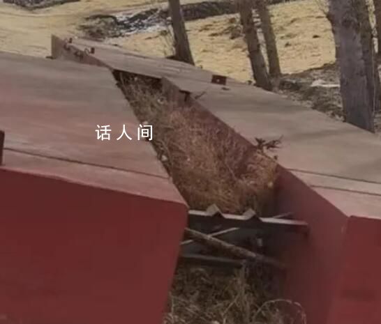 吉林村民搭浮橋收費被判尋釁滋事 法院判決認定罪名成立