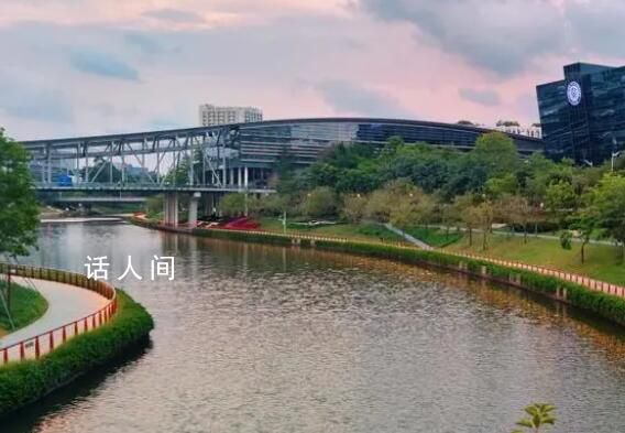 985畢業生主動延畢:有人故意掛科