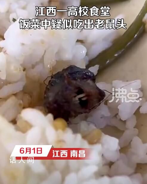 官方:頂格處罰鼠頭鴨脖涉事企業