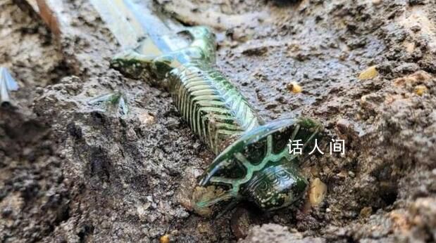 德國發(fā)現(xiàn)3000年前青銅劍 至今仍在發(fā)光
