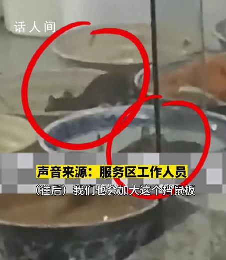 服務區負責人回應菜盆中驚現老鼠 下一步會對防鼠措施加大力度加強巡查和防范