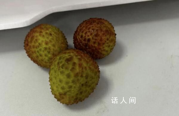 端午公司發了3顆荔枝 員工紛紛表示不滿