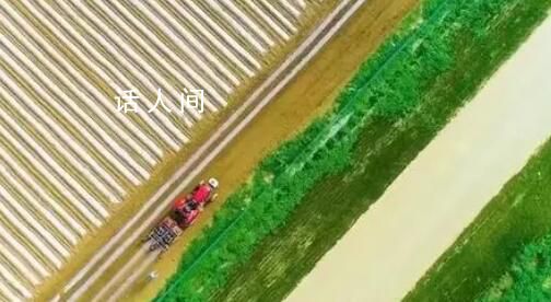 夯實糧食安全根基 把飯碗牢牢端在自己手中