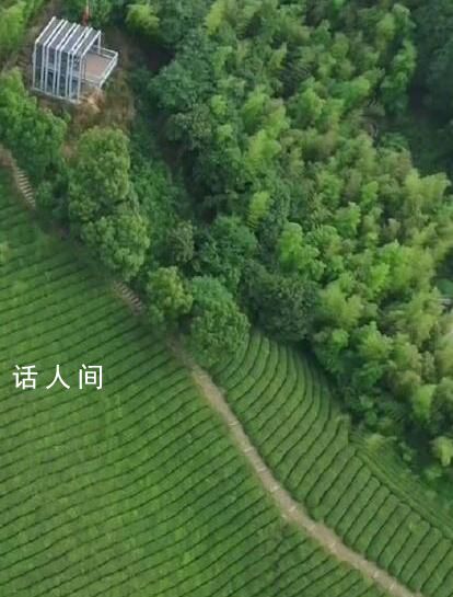 空中視角看千萬工程調研行 空中視角看千萬工程帶來的山鄉巨變