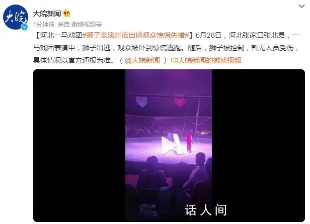 馬戲團獅子表演時欲出逃 觀眾被嚇跑