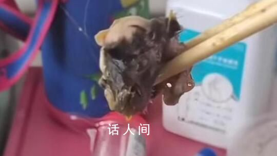 官方:重慶一醫院食堂異物確為鼠頭