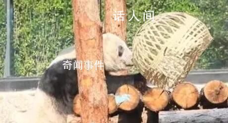 丫丫解鎖新玩具竹籠 一起看看具體內(nèi)容