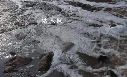 記者調查養豬場被持刀追趕 視頻在網上引發熱議