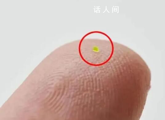 比鹽粒還小的手提包賣出46.2萬 給螞蟻背的手提包嗎