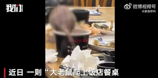 三亞一餐館老鼠爬上桌 店面停業